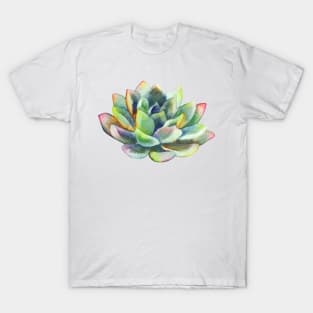 Watercolor, succulent, hand painted, cactus T-Shirt